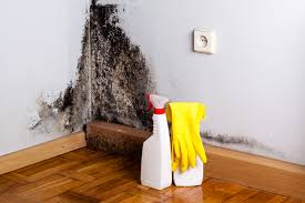 Best Forensic Mold Investigation  in Bath, PA